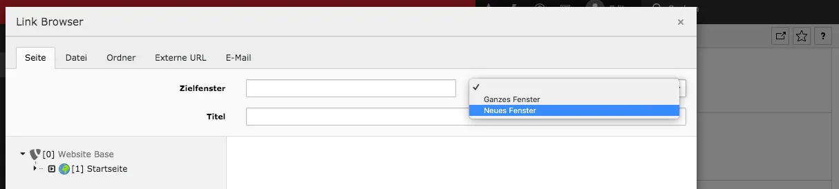 TYPO3 RTE Rich Text Editor Link Browser Seite