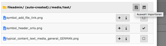 TYPO3 Dateien für Dateilinks importieren