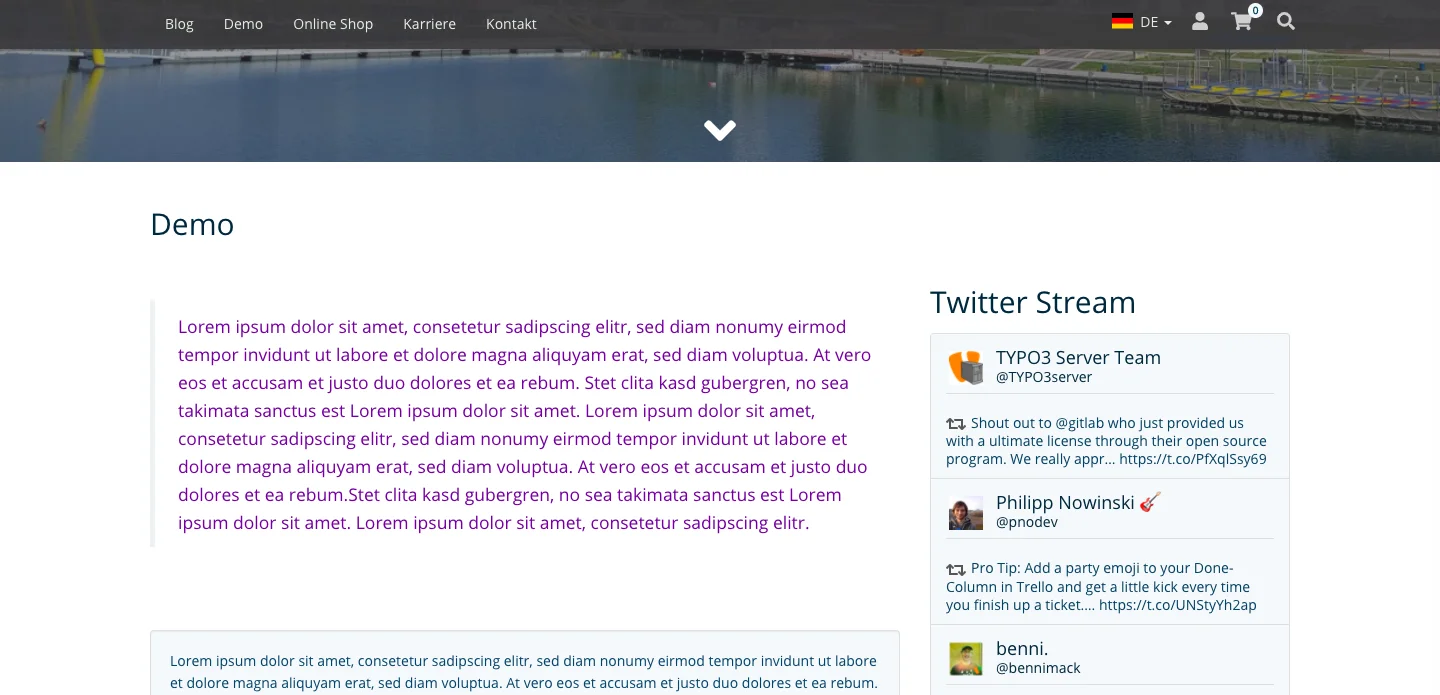 TYPO3 Modul Website Configuration Text im Frontend