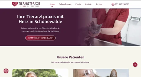 Veterinary website homepage with hero image of vet in red scrubs holding a gray cat and navigation menu.