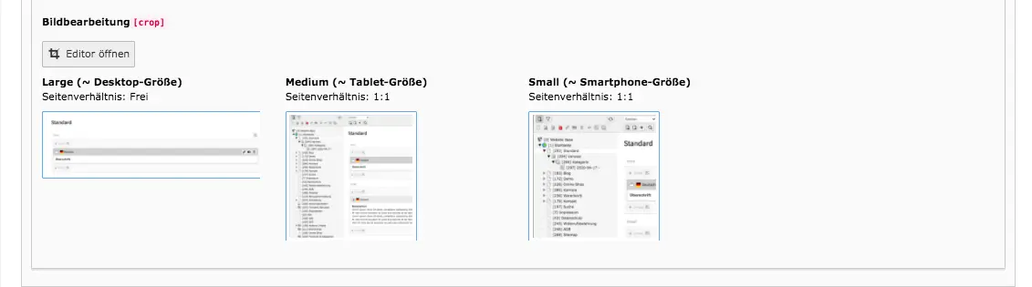 TYPO3 Bildeditor bearbeitete Bilder