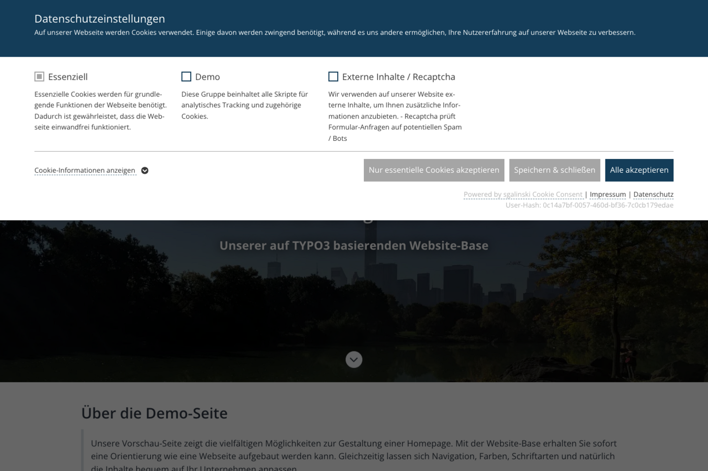 TYPO3 Cookie OptIn Fenster im Frontend