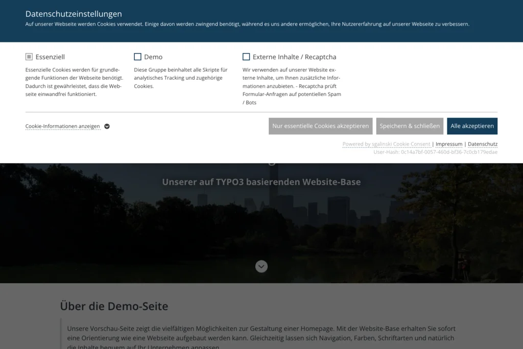 TYPO3 Cookie OptIn Fenster im Frontend
