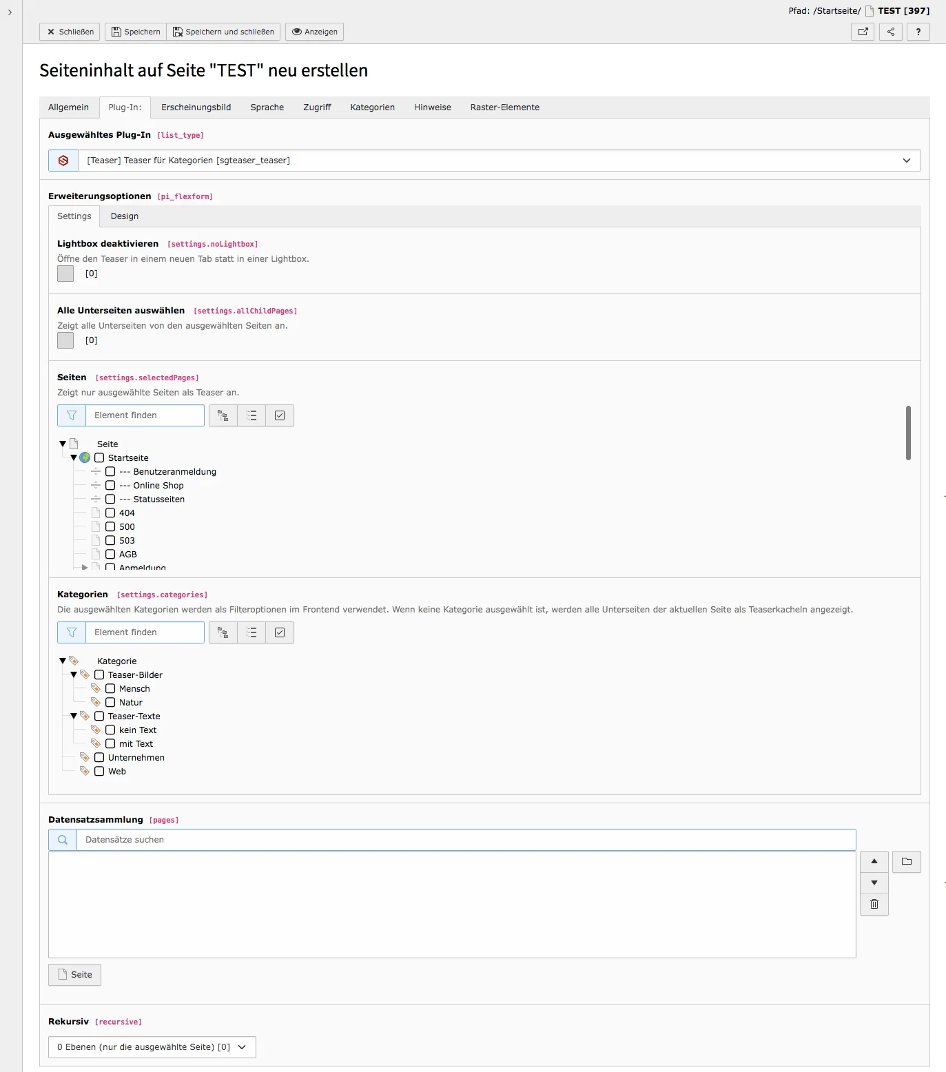 TYPO3 Inhaltselement Teaser für Kategorien Tab Plugin Einstellungen