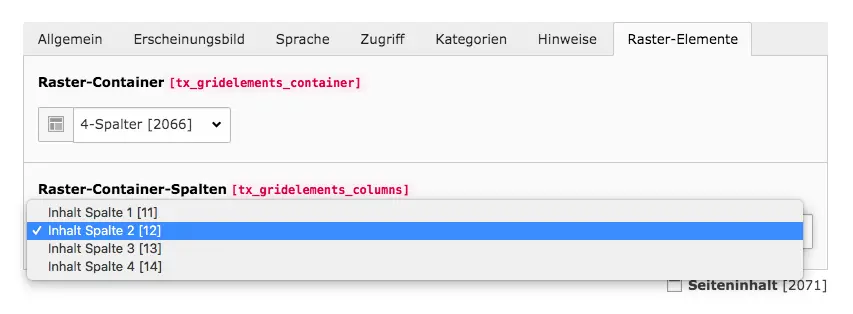 TYPO3 Inhaltselemente bearbeiten Raster-Elemente Auswahl