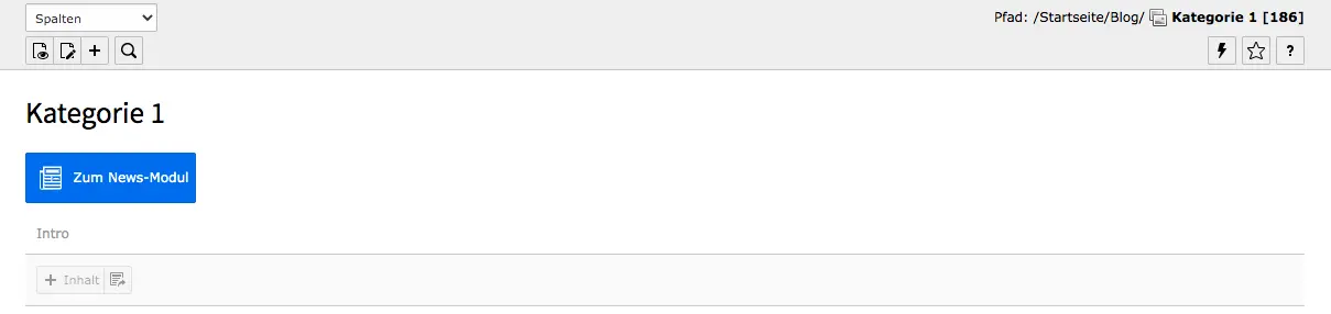 TYPO Kategorie-Seite Inhaltsbereich Button Zum News-Modul