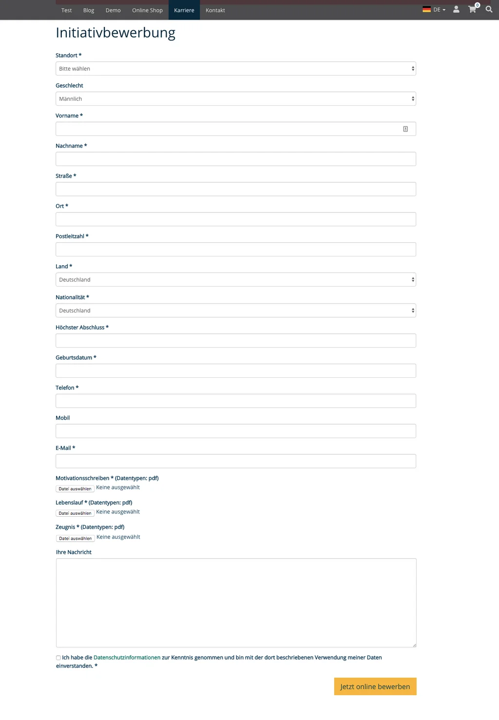 Bewerbungsformular – Initiativbewerbung im Frontend