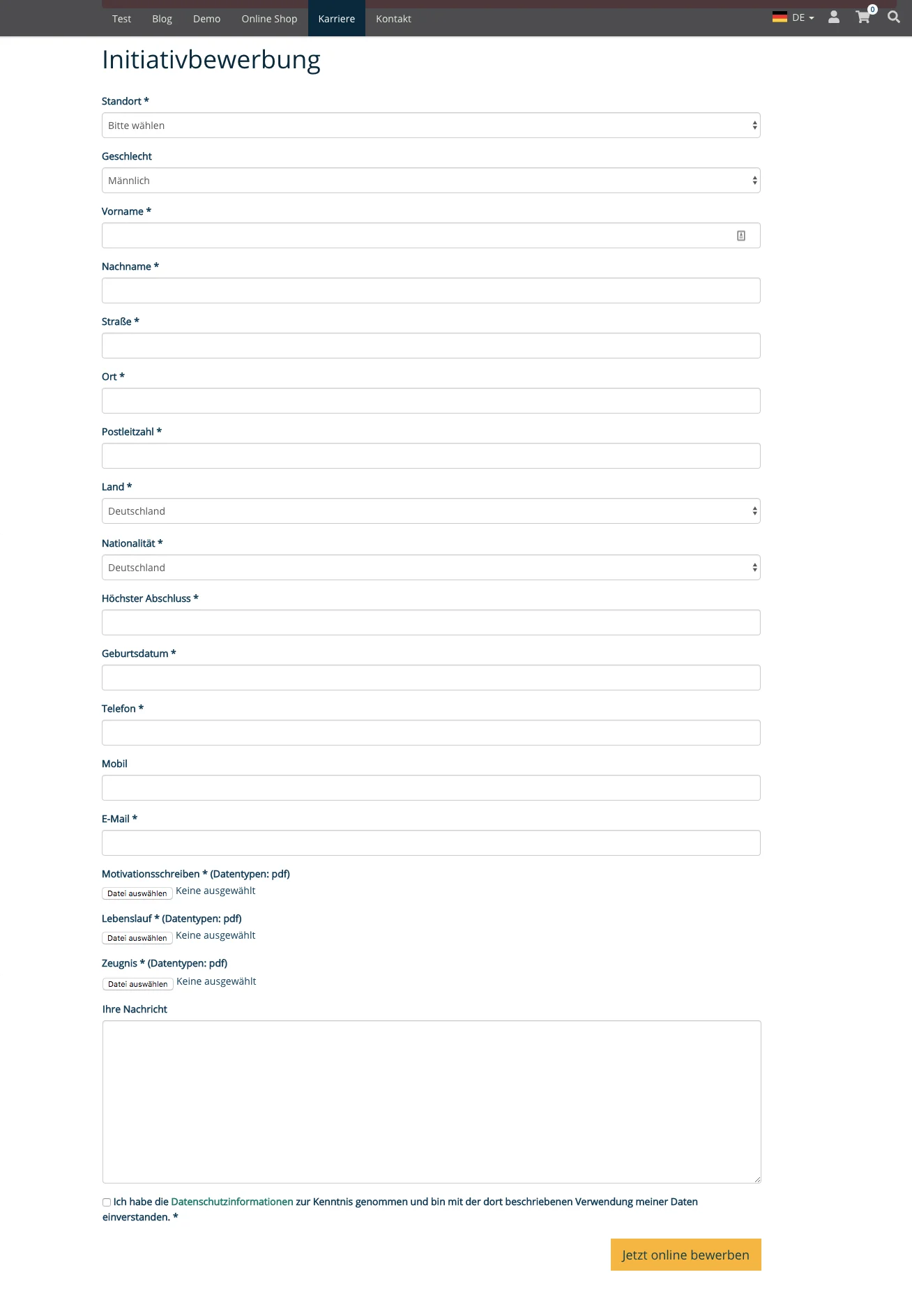 TYPO3 application form