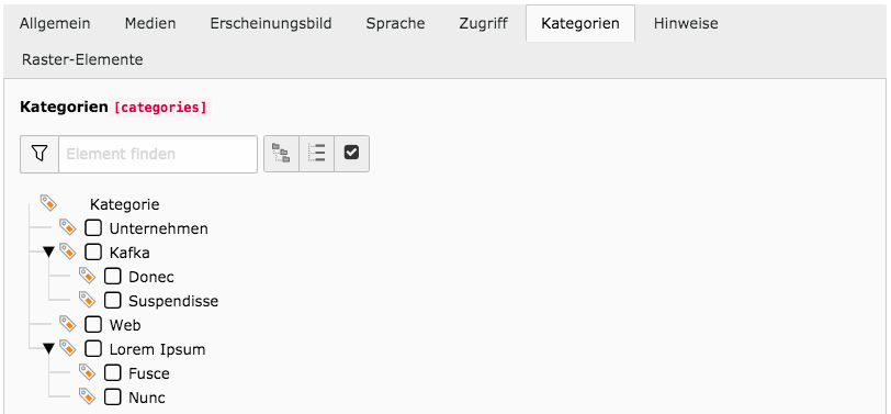 TYPO3 Inhaltselement Tab Kategorien