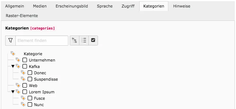 TYPO3 Inhaltselement Tab Kategorien