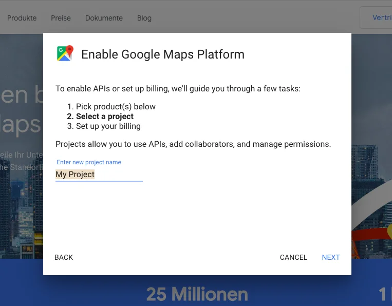 Enable Google Maps Platform