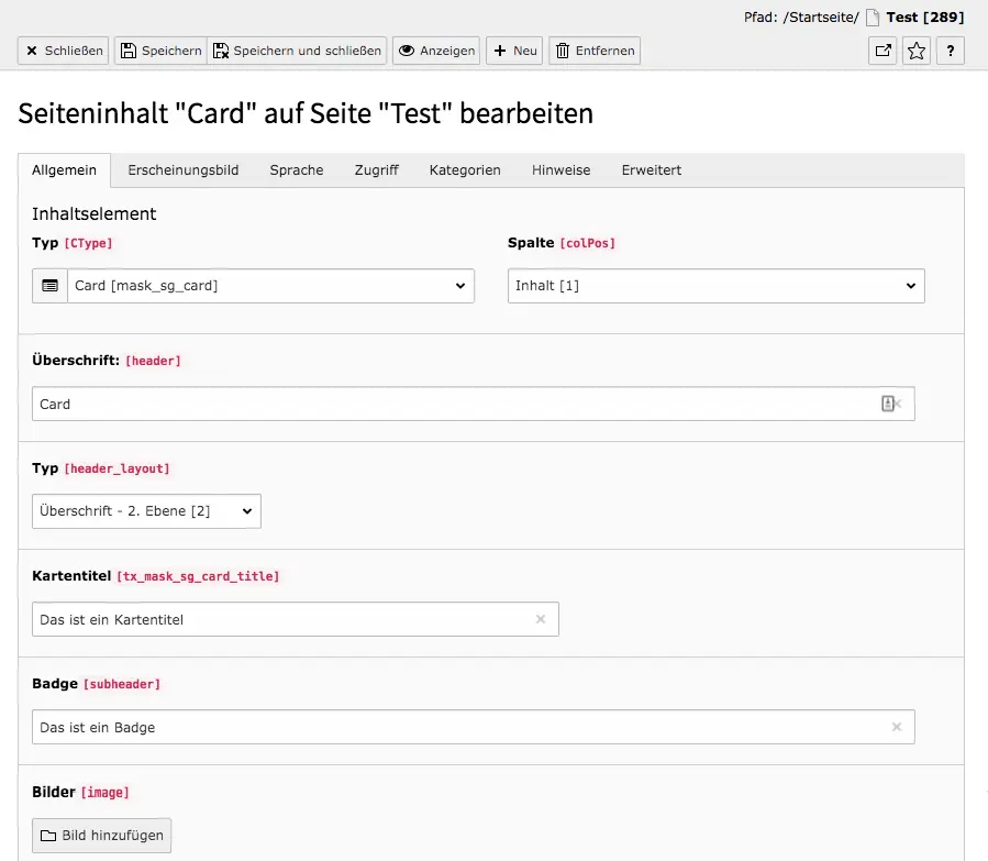 TYPO3 Inhaltselement Mask Elements Card Reiter Allgemein