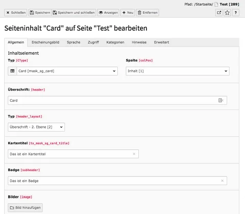 TYPO3 Inhaltselement Mask Elements Card Reiter Allgemein