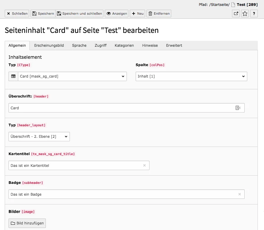 TYPO3 Content element Mask Elements Card Tab General