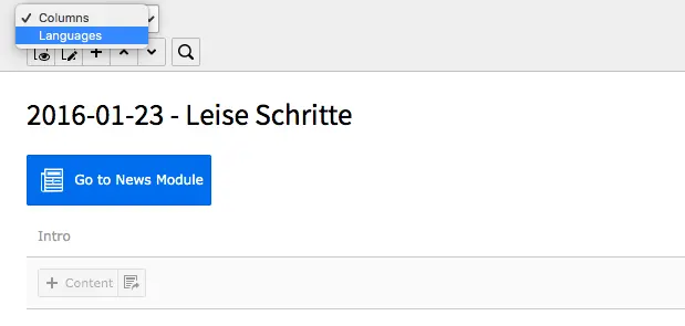 TYPO3 Content Area Options Columns Languages