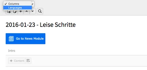 TYPO3 Content Area Options Columns Languages