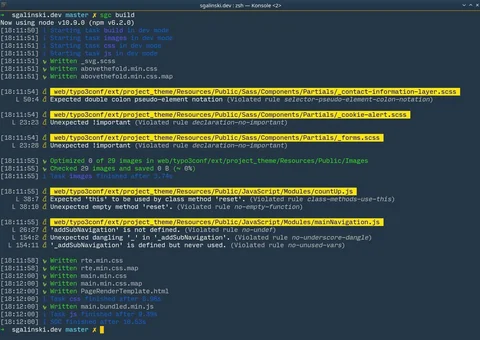 SGC v3 Linting Error Console Output