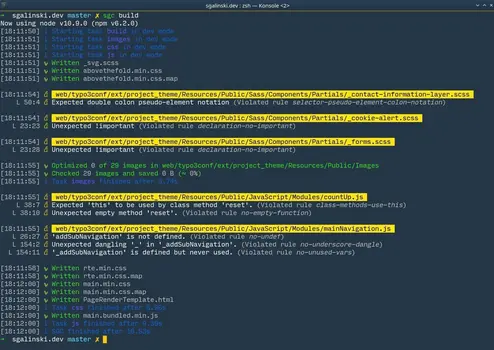 SGC v3 Linting-Fehler Konsolenausgabe