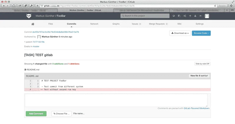 Ansicht eines Commits