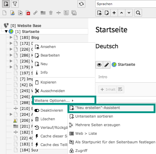 Pfad Neu-Erstellen-Assistent TYPO3