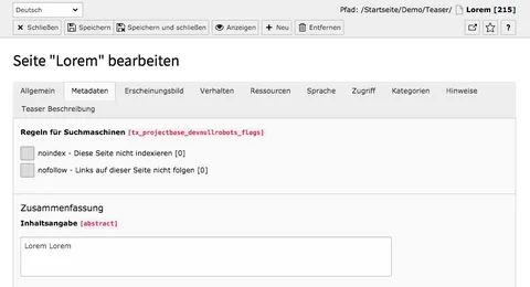 TYPO3 Seiteneigenschaften Metadaten