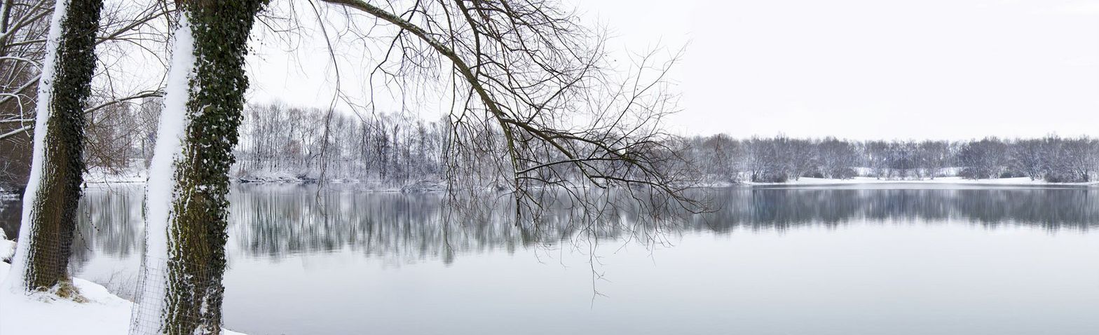 Winterlandschaft