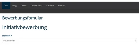 TYPO3 Bewerbungsformular Initiativbewerbung Frontend Titel
