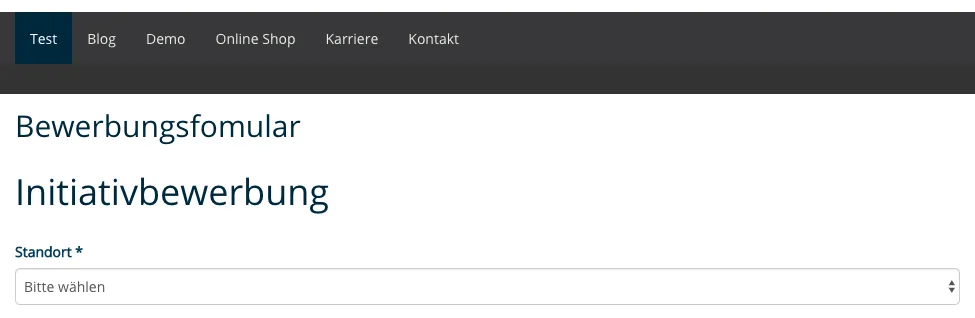 TYPO3 Bewerbungsformular Initiativbewerbung Frontend Titel