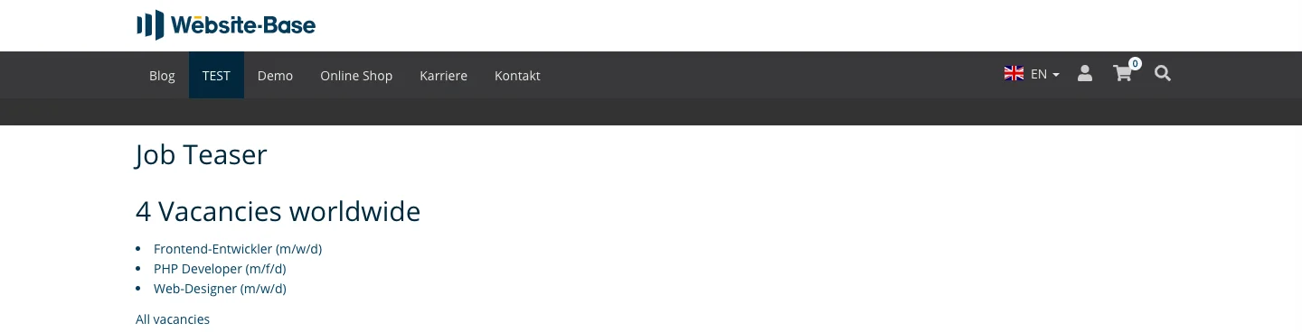 TYPO3 Content Element Plugins Job Teaser Frontend