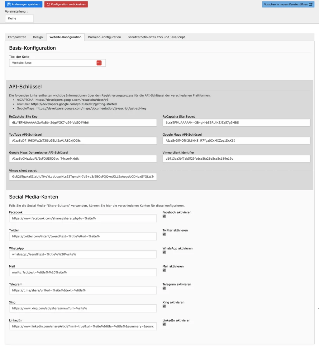 TYPO3 Modul Website-Konfiguration Tab Website-Konfiguration