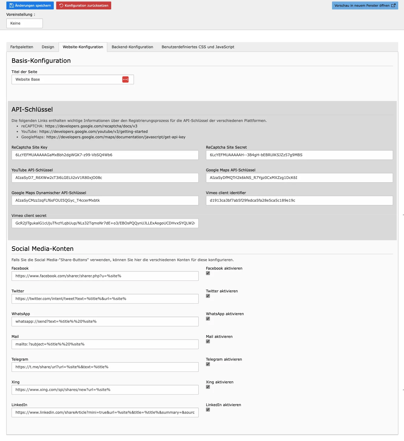 TYPO3 Modul Website-Konfiguration Tab Website-Konfiguration