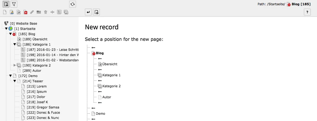 TYPO3 Create New wizard New Record