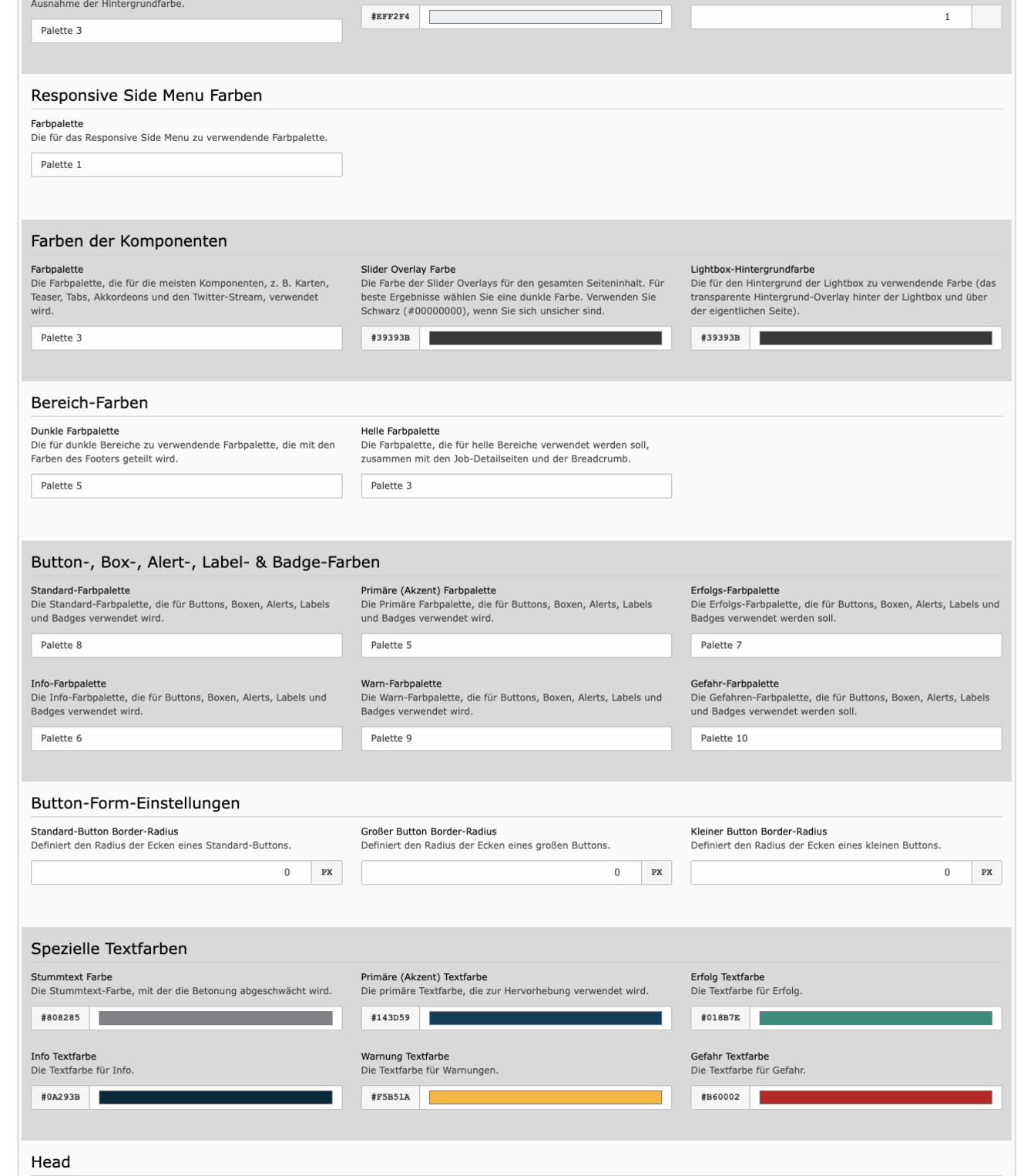 TYPO3 Module Website Configuration Tab Design