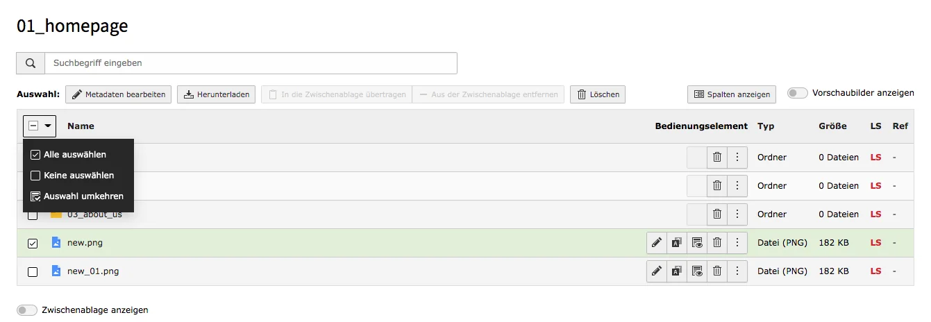 TYPO3 Dateiliste Auswahl 