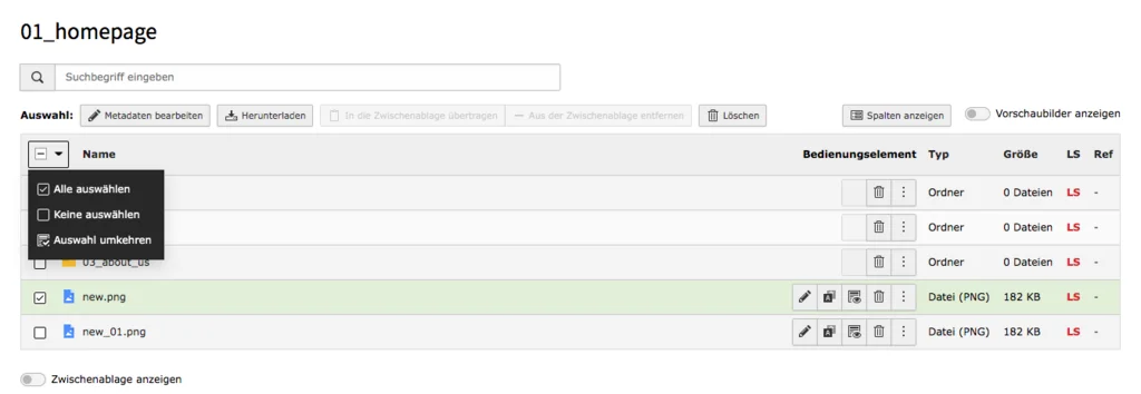 TYPO3 Filelist Selection 