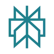 Perplexity AI Logo