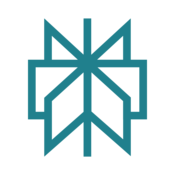Perplexity AI Logo