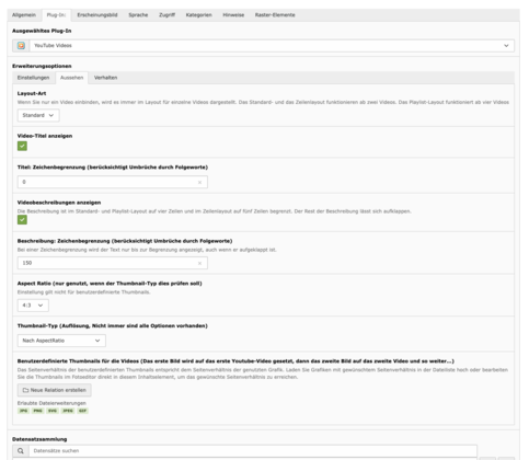 TYPO3 Inhaltselement YouTube Plug-In Backend Reiter Plug-In: Aussehen
