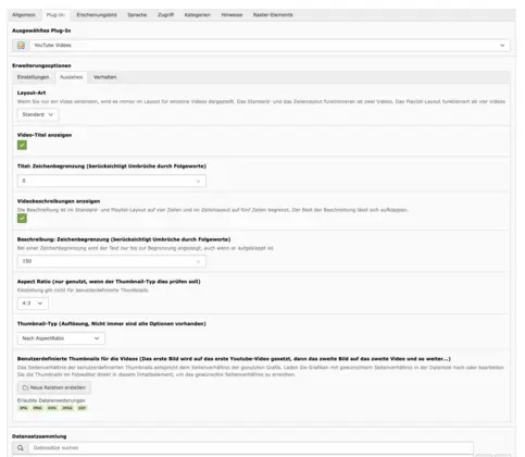 TYPO3 Inhaltselement YouTube Plug-In Backend Reiter Plug-In: Aussehen