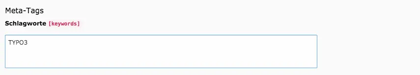 TYPO3 Seiteneigenschaften Metadaten Schlagworte