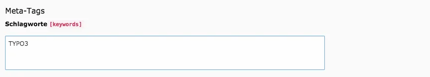 TYPO3 Seiteneigenschaften Metadaten Schlagworte