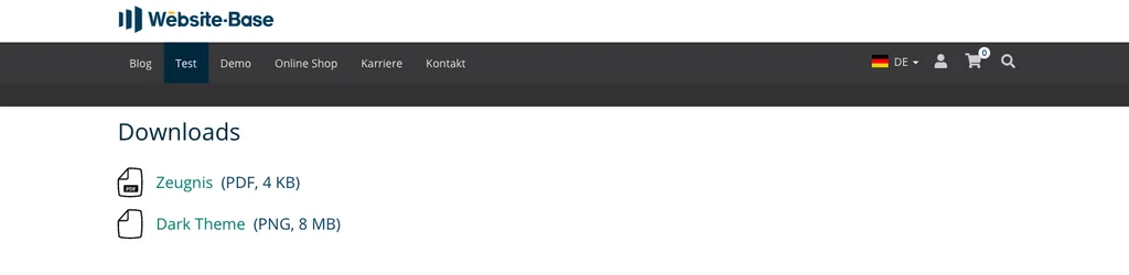 TYPO3 Inhaltselement Mask Elements Downloads Frontend