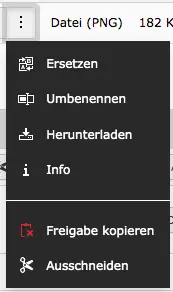 TYPO3 Dateiliste Option Freigabe kopieren