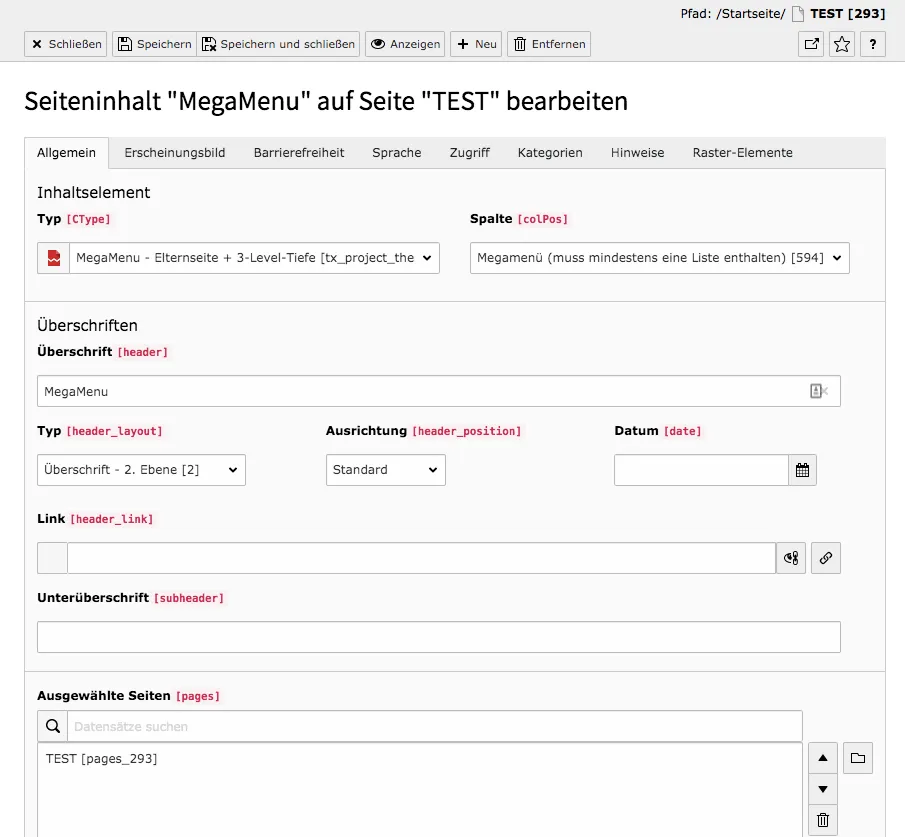 TYPO3 Inhaltselement MegaMenu Elternseite + 3-Level-Tiefe Reiter Allgemein