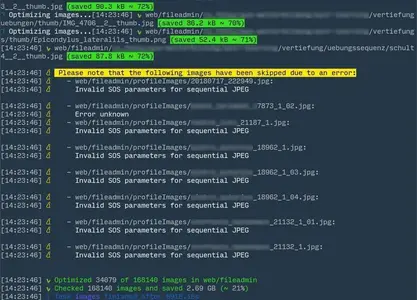 SGC v3 CSS Task Image Optimization Console Output