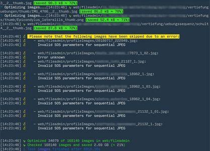 SGC v3 CSS Task Bildoptimierung Konsolenausgabe