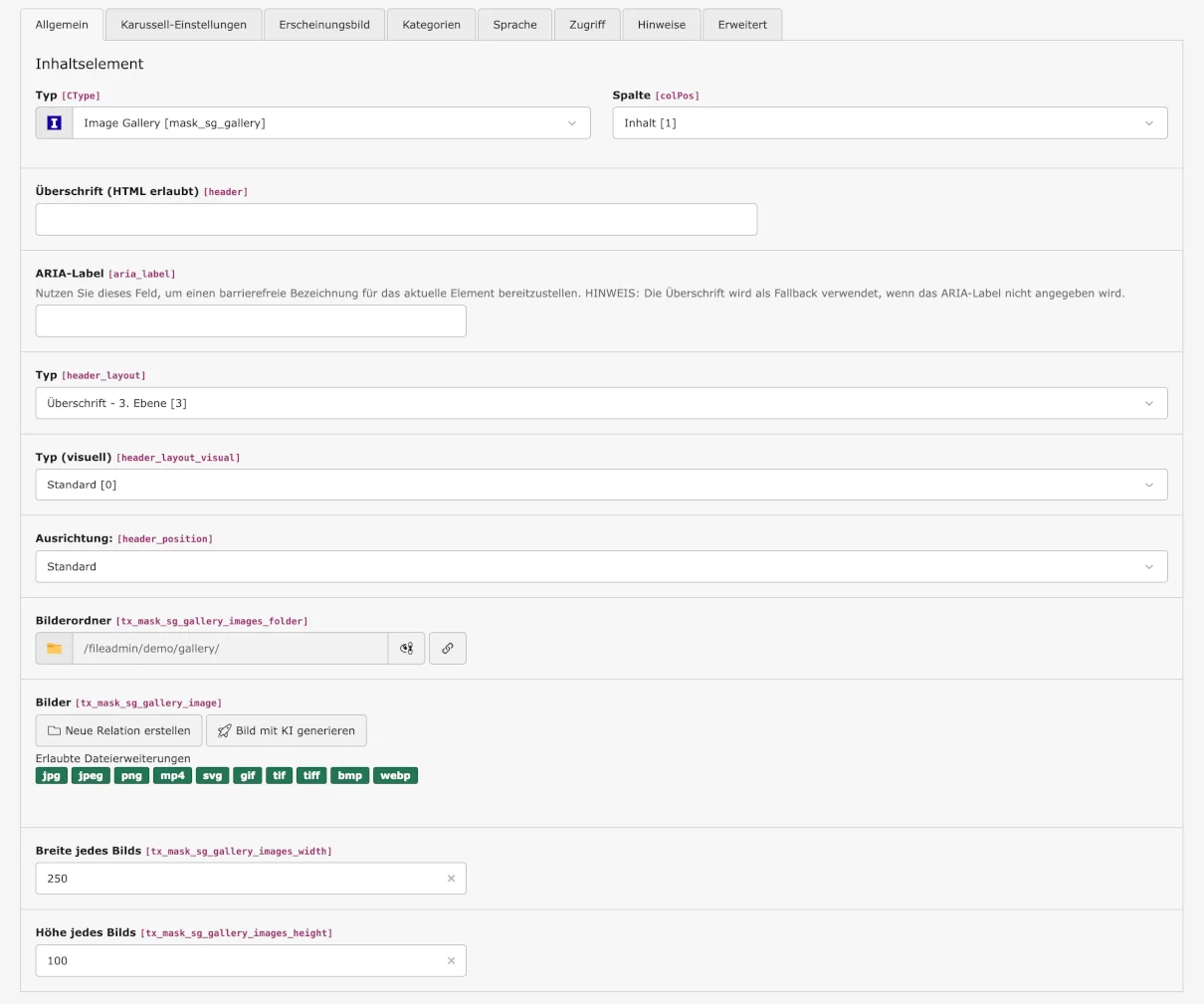TYPO3 Mask Element Galerie Reiter Allgemein
