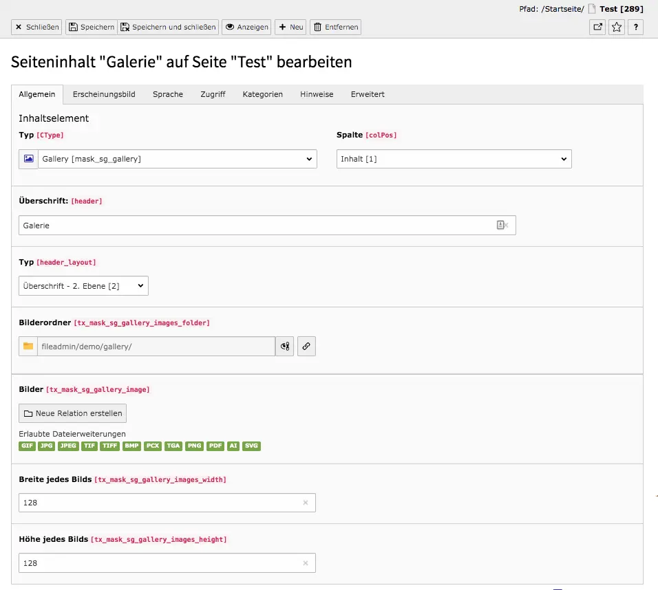 TYPO3 Mask Element Galerie Reiter Allgemein