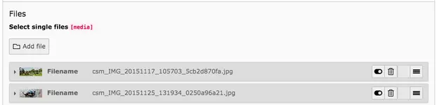 TYPO3 Content Element File Links Single Files