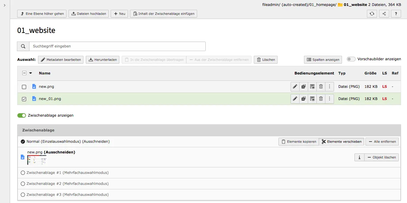 TYPO3 Module Filelist Single record mode File